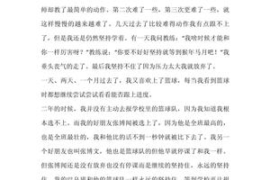 训练计划篮球怎么写作文